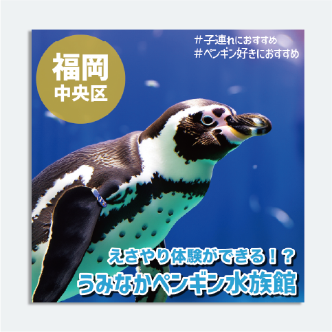 水族館のバナー広告