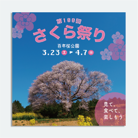 さくら祭りのバナー広告